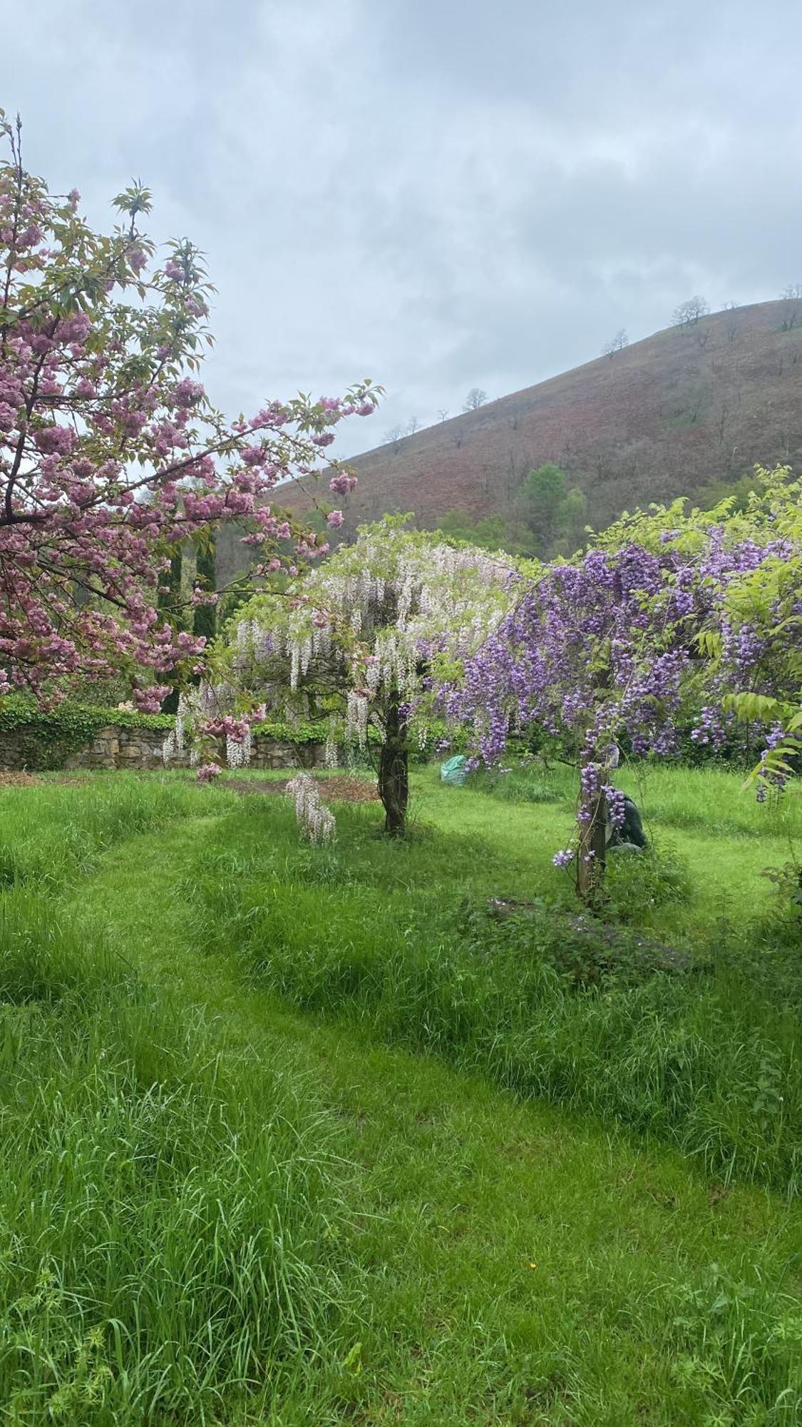 Etxe Arrosa Daire Saint-Martin-dʼArrossa Dış mekan fotoğraf